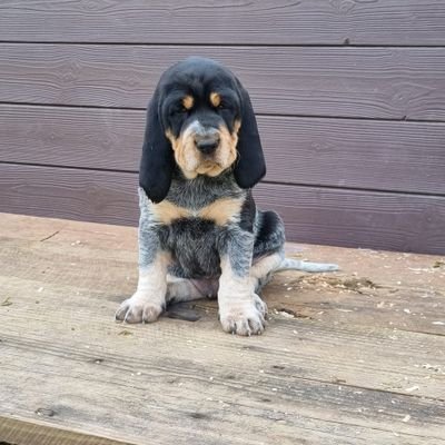 jaggerjacc's profile picture. 