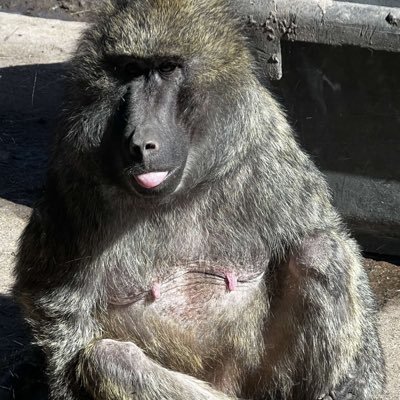 oblivyan_'s profile picture. CS @ UMD