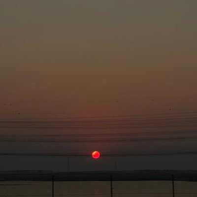 totallynotfatma's profile picture. private account :D