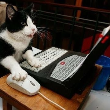 facevedognz's profile picture. #SoyHenry FullStackDeveloper | Javascript | Node.js | React | SQL |