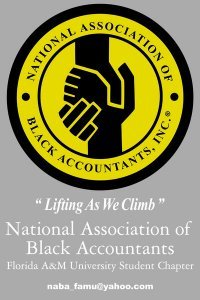 NABA_FAMU's profile picture. National Association of Black Accountants on the highest of 7 hills... Florida A&M University