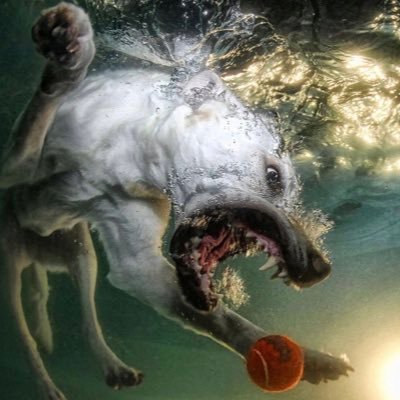 JowWunna's profile picture. OrbWun