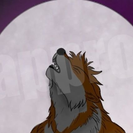 Vtuber
3d rigging
2d rigging
animation artist
graphic designer
Taking Commissions