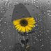 Daizy (@southernbygrace) Twitter profile photo