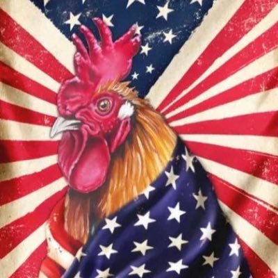 | mikePAAAM | Team Roosterica USA is a league looking for players to join us! This is an Elite League in PubG & Like Games | COD ☠️ | TRUMP 2024 | MAGA FOREVER