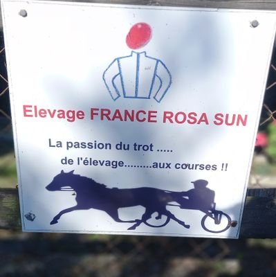 ecurieHBfrance's profile picture. Éleveur de trotteurs