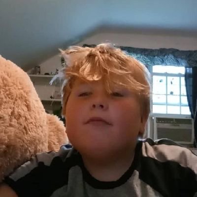 brayden26451411's profile picture. I like the Patriots