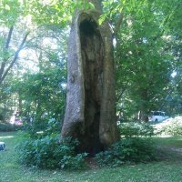 scoot24er (@scoot24er) 's Twitter Profile