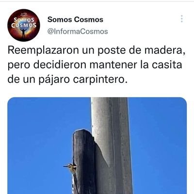 Iglesia que no denuncia la Injusticia y la opresión es una Iglesia vendida.

-Los Guaraguao.