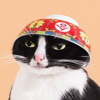 Roverbears's profile picture. Come by and say Hello and hang out.