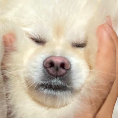 KistoryK's profile picture. :(