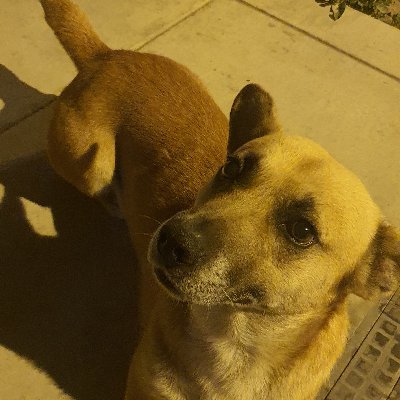 natura9999's profile picture. soy biólogo, defiendo la ciencia y el amor,no a los caudillos ni a los partidos.