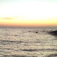 ただの係長 (@many_cats_so2) Twitter profile photo