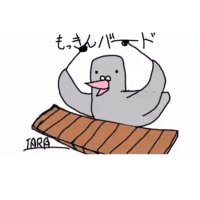 もっきんバード(旧:自転車稼業(ニ代目)@川崎) (@16thmay1981) 's Twitter Profile Photo