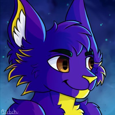 STOCKENSTEINUWU Profile Picture