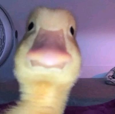 quemsoueu0091's profile picture. 