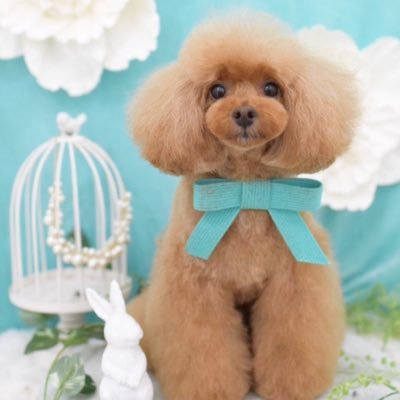 🇹🇭@bb0un🐱🍭 Anyway, I like บุ๋น♥️I love บุ๋น♥️ That's all.