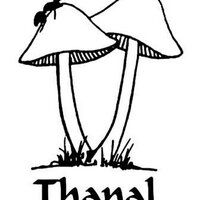 Thanal Trust(@Thanal1986) 's Twitter Profile Photo