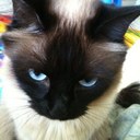 Jungwon Park - @jparktft - Twitter