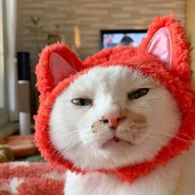 KarolineButeau1's profile picture. 