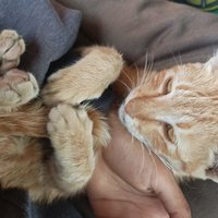 Ayechankhin (@ayechankhin18) 's Twitter Profile