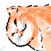 ちゃんゆー (@udxfftf0wwpe72d) 's Twitter Profile