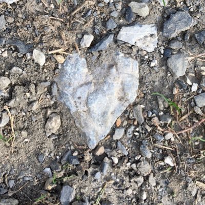 ChristE83824415's profile picture. 