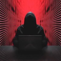 Bitcoin Vhale 🐋 (@cryptobestor) 's Twitter Profile