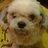 iamatravellover's profile image