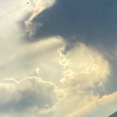 月皎 影さんのプロフィール画像