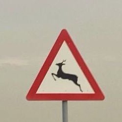 alllbrak's profile picture. 