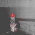 MakkPlüto(🌐 (@rbmmakk) Twitter profile photo MakkPlüto(🌐 (@rbmmakk) Twitter profile photo