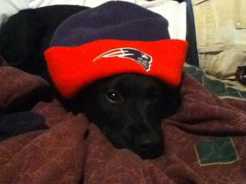 RedRocket503's profile picture. 