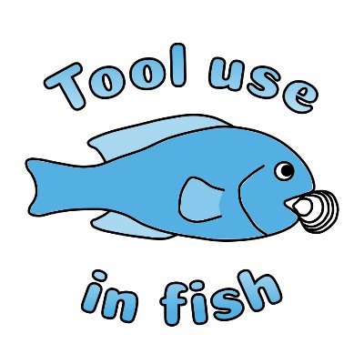 🐟🔨 Working on the use of tools by fish
👀 If you see a fish opening its prey on rocks, let us know at https://t.co/HpUfFHhcxV
@FishLab_MQ @mqnatsci (she/her)