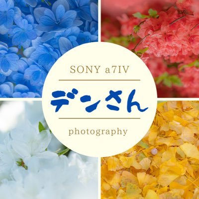 📸カメラ＆写真垢😁メインは風景写真🖼【 #SONY 】#a7IV /#SEL135F18GM /#SEL24105G /#SELP1635G /#SEL200600G / #SEL70200G2【 #SIGMA 】#20mm /#85mm F1.4 DG DN Art