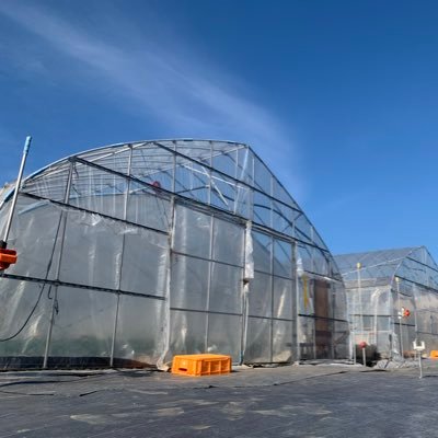 tochigi15suzuki's profile picture. 栃木県宇都宮市上横田町のいちご農園です。 美味しいいちごを作るために毎日一生懸命取り組んでます✨ 一度食べたら忘れられないいちごを目指して今日も頑張ってます💪 ホームページはこちら⇨https://t.co/fxJJirnRgi