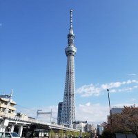 Kakeru Hattori (@ayase_lab) 's Twitter Profile