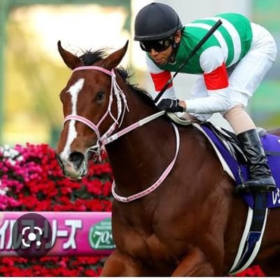 LThdE38G9IwPwwP's profile picture. 競馬狂🐴

賭場　一路

#競馬