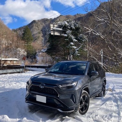 #RAV4PHV でゆるキャラ見に行く名古屋県民。