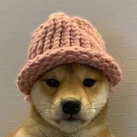 Akake (@akake_old) Twitter profile photo