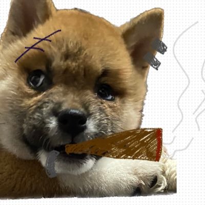 オウムちゃんさんのプロフィール画像