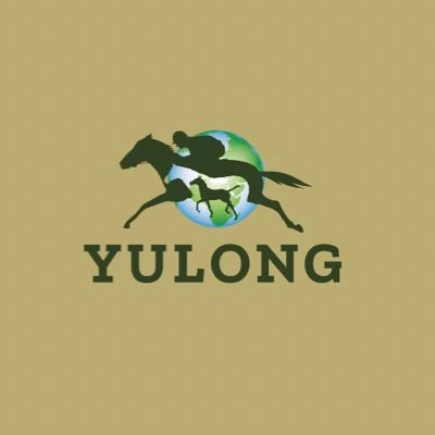 YulongInvest Profile Picture
