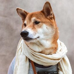 Madmanjieyu's profile picture. PhD student at Technical University of Munich