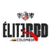 FC Élite RBD Colombia Oficial (@EliteRBDCol) Twitter profile photo