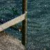 QIOM.d (@qiom_d) Twitter profile photo QIOM.d (@qiom_d) Twitter profile photo