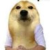 👌 (@whatthedogdu) Twitter profile photo 👌 (@whatthedogdu) Twitter profile photo