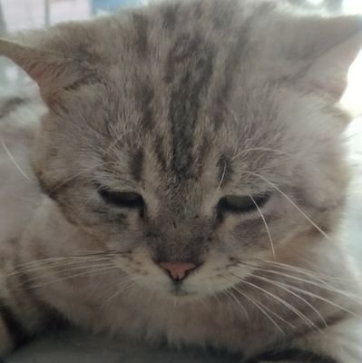 eun_167's profile picture. ♥╮(*^﹏^*)╭🩵
just a lil bit introvert/silent follower
🥦🥦🥦