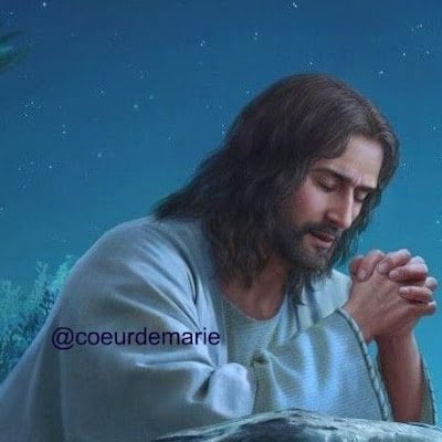 kouchade_m's profile picture. 