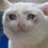 knorrr__'s profile image