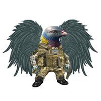 Pigeonindex Fella🇷🇴🇺🇦🇬🇧(@Pigeonindex) 's Twitter Profile Photo